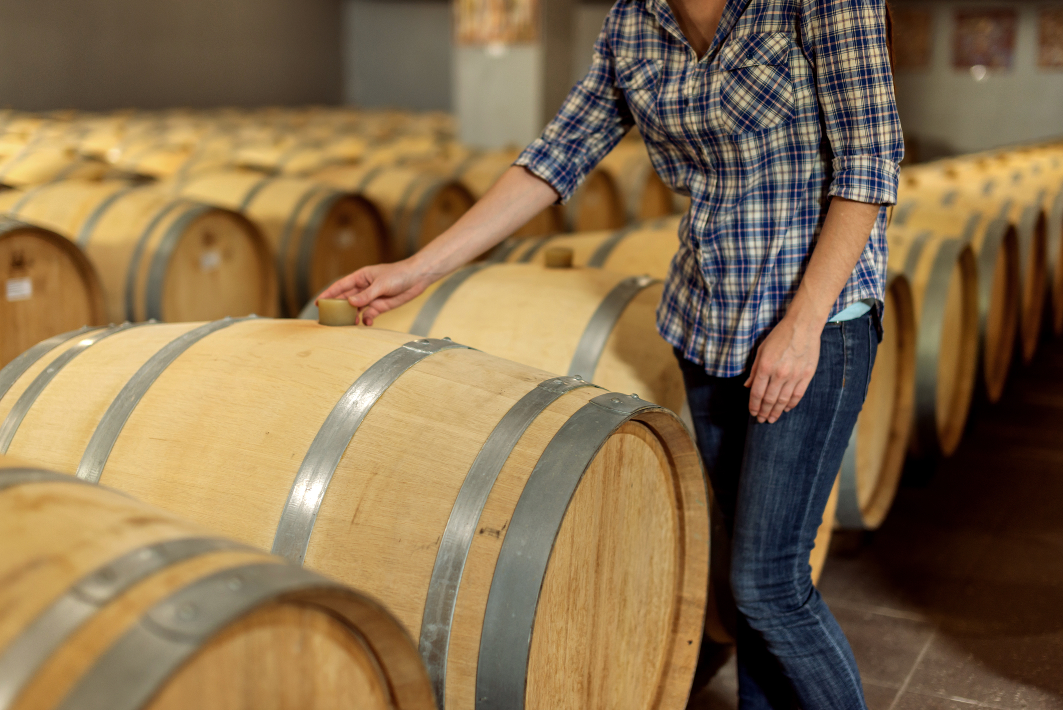 יין בלנד ויין זני – מצאו את ההבדלים