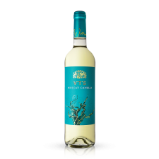 VTS מוסקט קנאלי