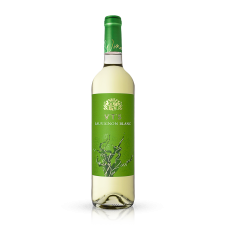 VTS סוביניון בלאן